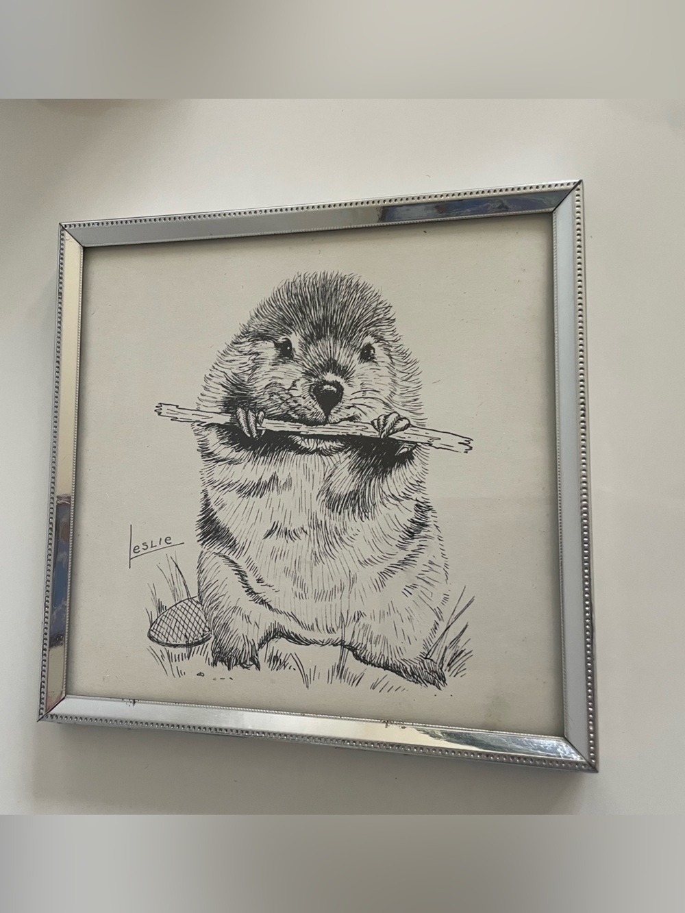 Lithography Print - Beaver - Framed